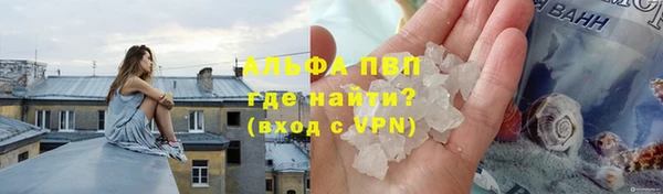 прущая мука Богданович