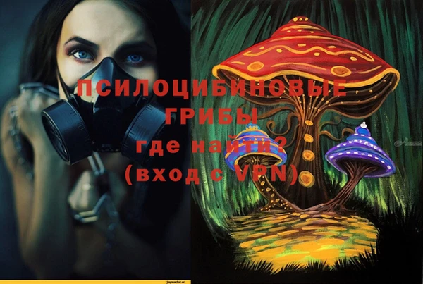 mix Богородск