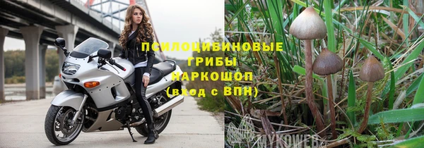 mix Богородск