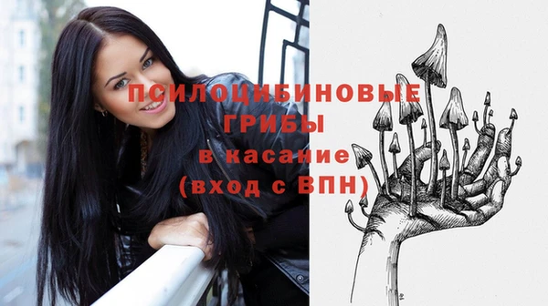 прущая мука Богородицк