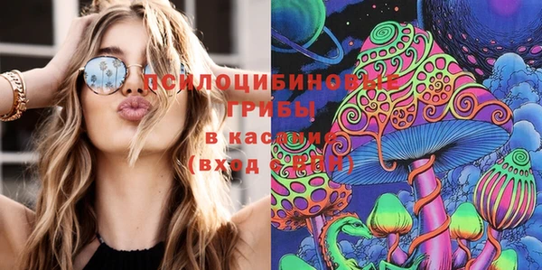 mix Богородск
